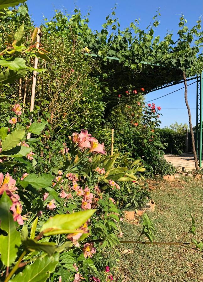 Appartamento Da Vjeri Pula Luaran gambar