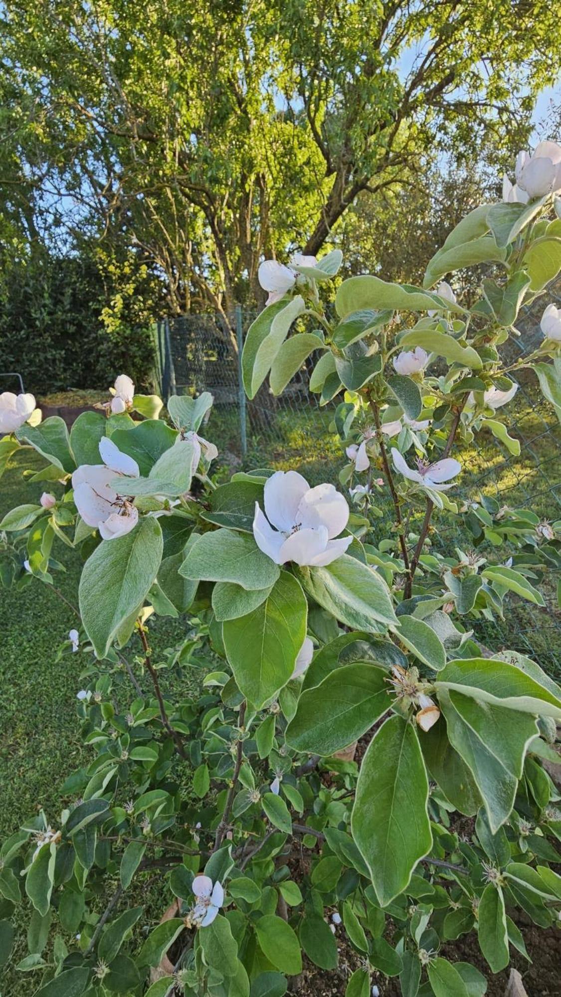 Appartamento Da Vjeri Pula Luaran gambar